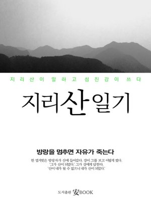 지리산 일기 - ebook